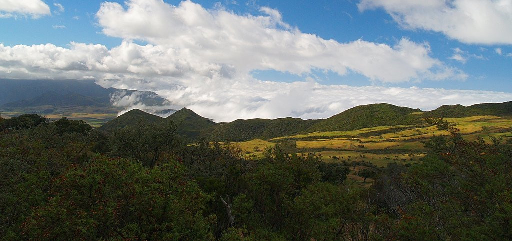 Плень-де-Кафр, Реюньон, фото № 25625 – фотографии Реюньона