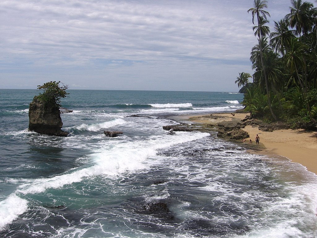 Манзанилло, Лимон провинция, Коста-Рика, фото № 40115 – фотографии Коста-Рики