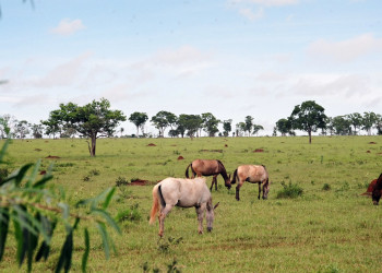 Сельская местность в Бониту – фотографии Бразилии