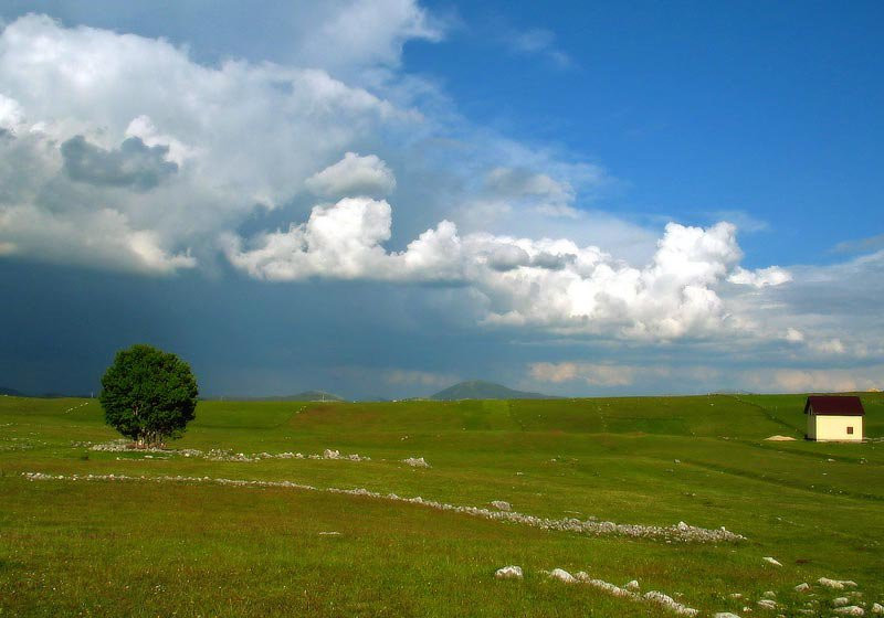 Поле в Дурмитор, Черногория. Фото 10 – фотографии Черногории