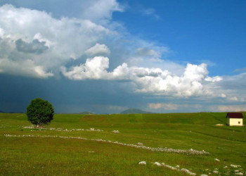 Поле в Дурмитор, Черногория. Фото 10 – фотографии Черногории