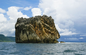 Санта Роза Национальный Парк, Гуанакасте провинция, Коста-Рика, фото № 39350 – фотографии Коста-Рики