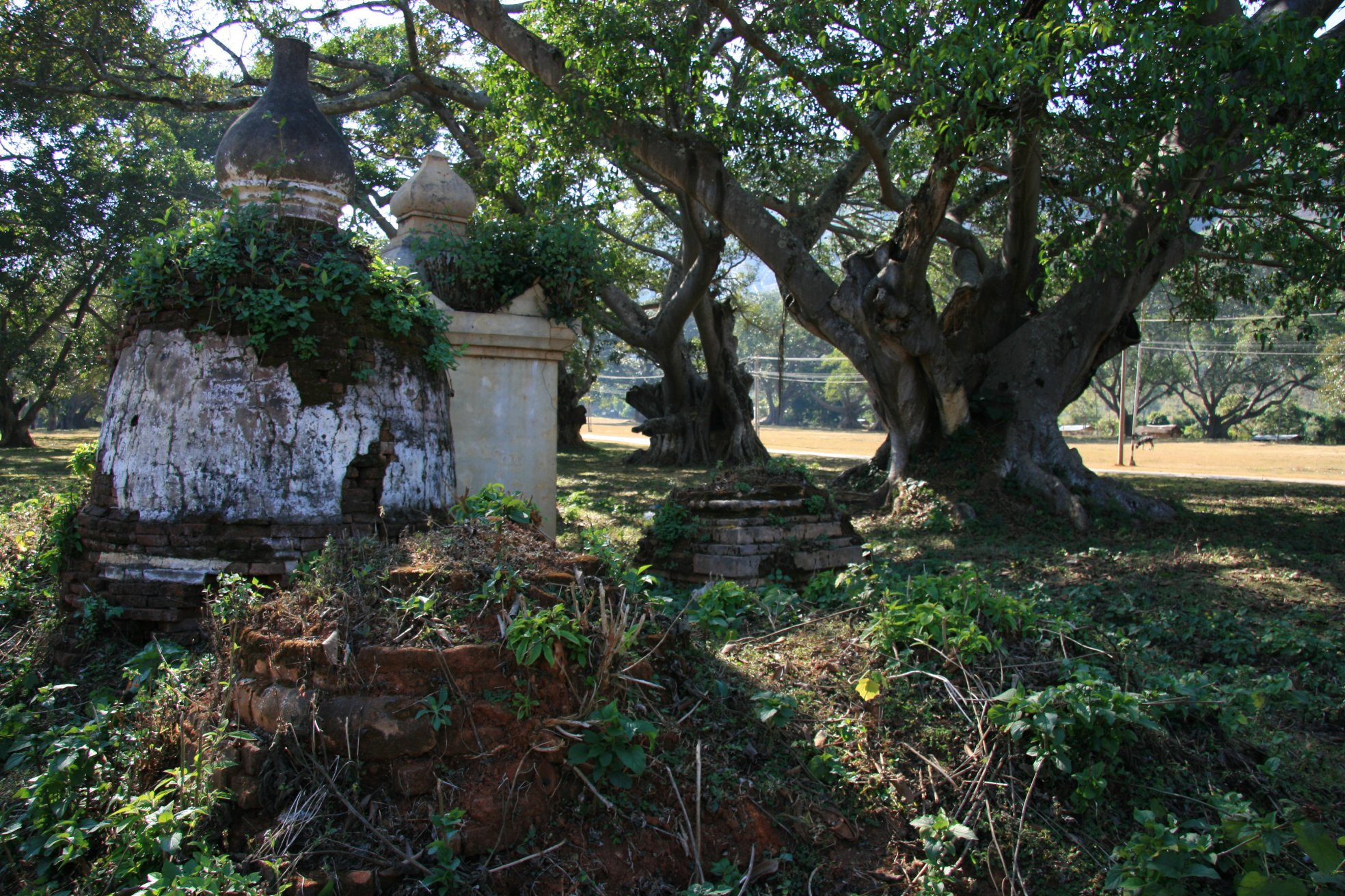 Пиндайя, Мьянма, фото № 80362 – фотографии Мьянмы