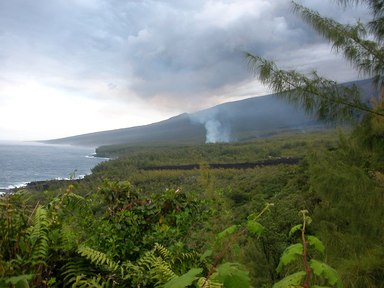 Реюньон, фото № 381 – фотографии Реюньона