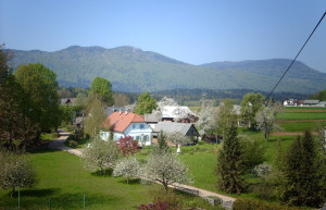 Доленске Топлице, Словения, фото № 57034 – фотографии Словении