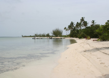 Пляж на острове Андрос, Багамские острова. Фото 5 – фотографии Багамских островов