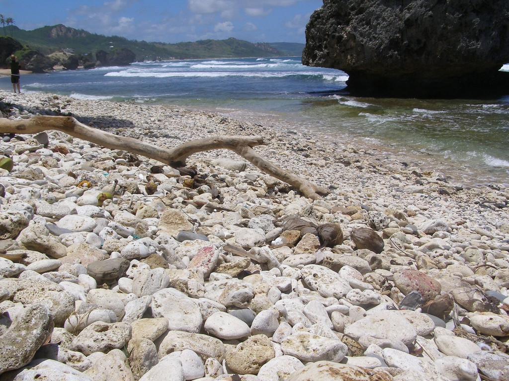 Берега в Батшиба, Барбадос. Фото 8 – фотографии Барбадоса