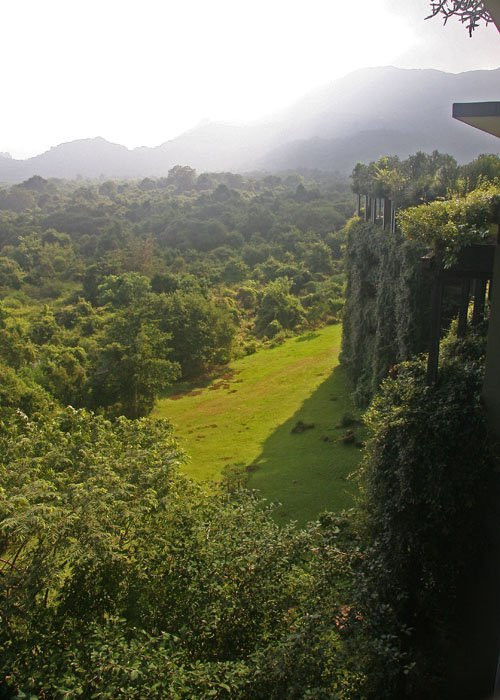 Кандалама, Шри-Ланка, фото № 51261 – фотографии Шри-Ланки