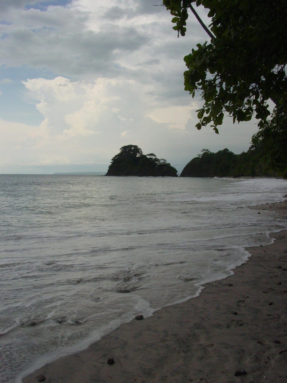 Пунта Леона, Пунтаренас провинция, Коста-Рика, фото № 41018 – фотографии Коста-Рики