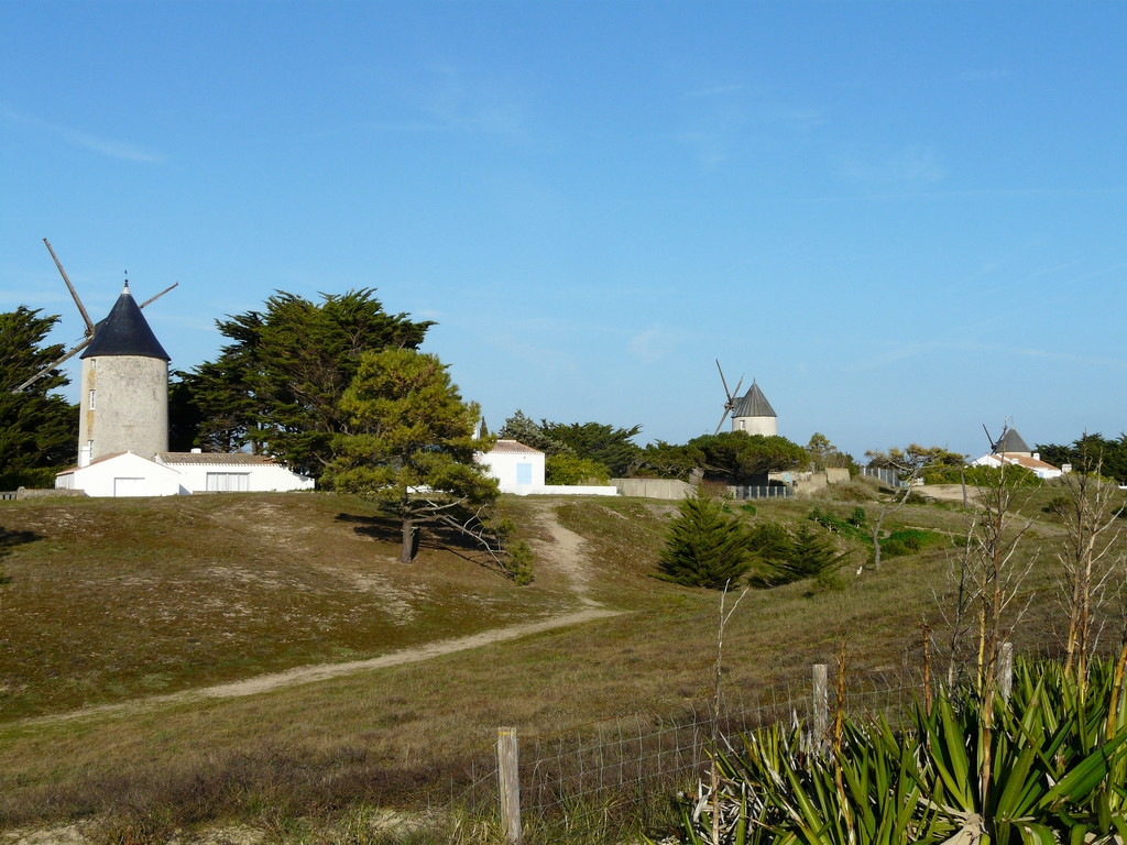 Мельницы в Нуармутье, Франция. Фото 1 – фотографии Франции