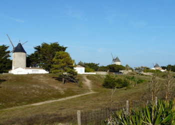 Мельницы в Нуармутье, Франция. Фото 1 – фотографии Франции
