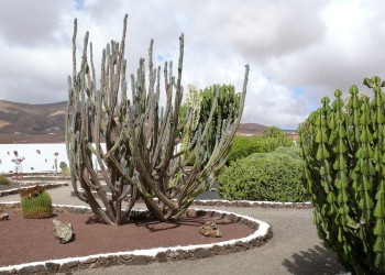 Антигуа, Фуэртевентура остров, Канарские острова, фото № 33986 – фотографии Канарских островов