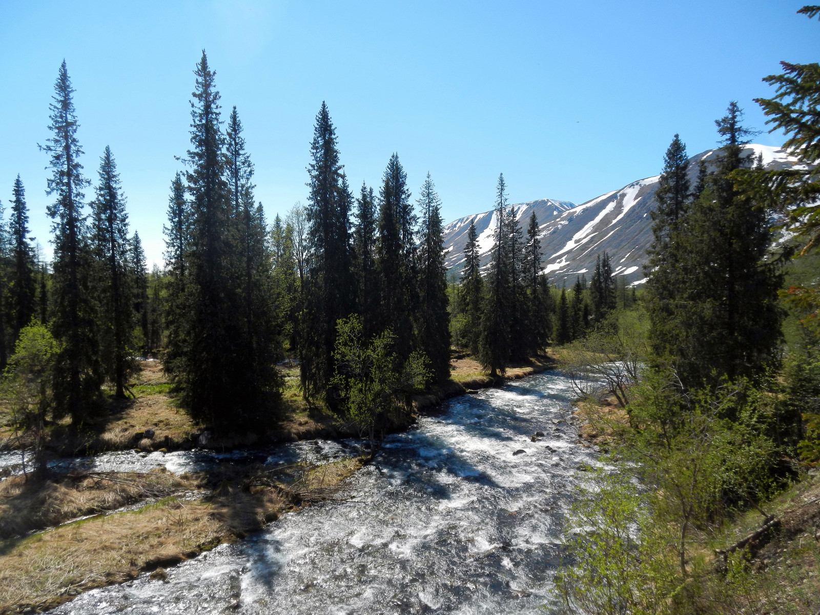 Национальный парк Югыд-ва в Коми, Россия. Фото 1 – фотографии России