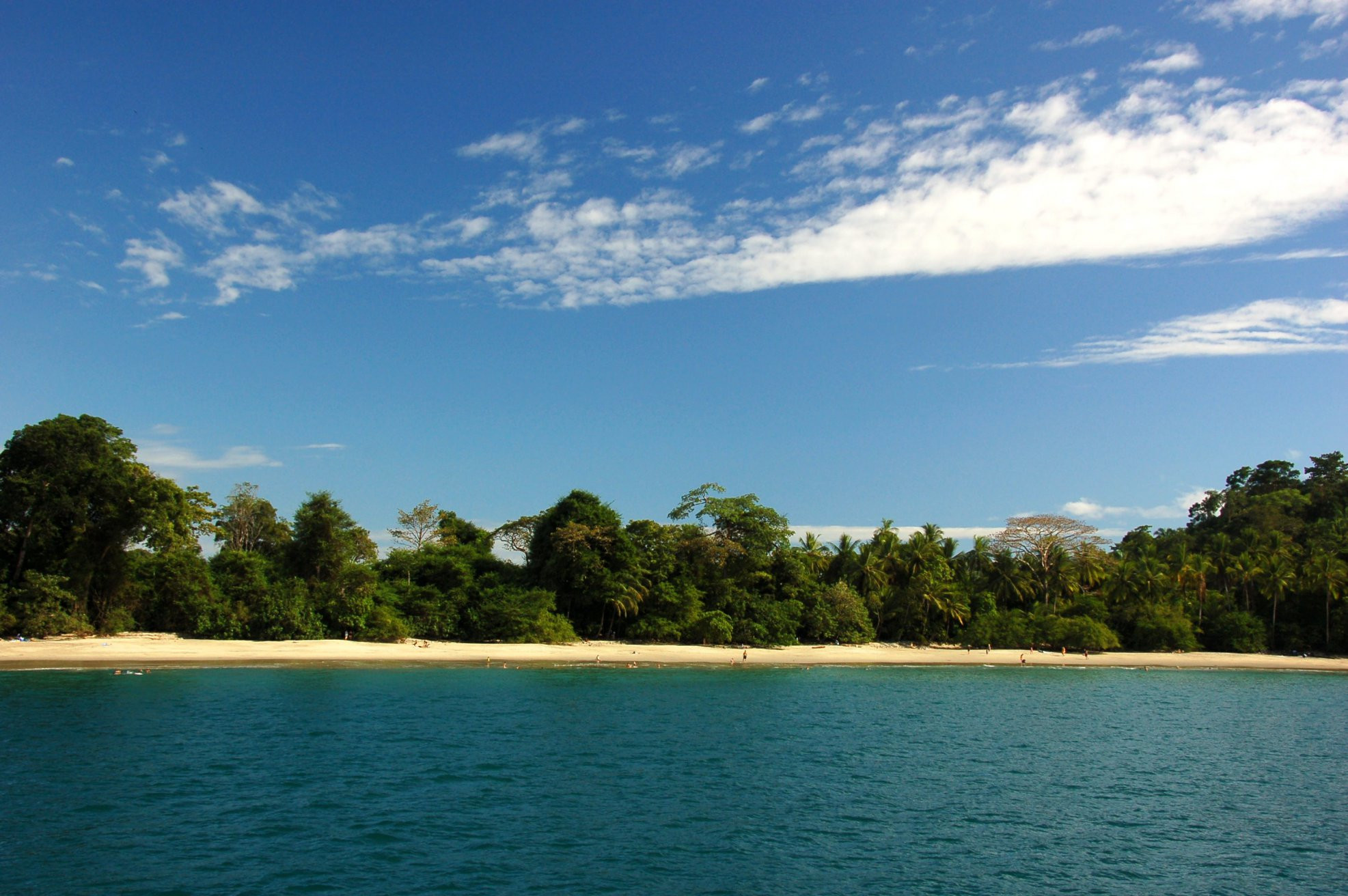 Мануэль Антонио Национальный Парк, Пунтаренас провинция, Коста-Рика, фото № 40673 – фотографии Коста-Рики