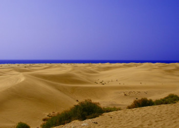 Маспаломас, Маспаломас Коста-Канария, Гран-Канария остров, Канарские острова, фото № 31066 – фотографии Канарских островов