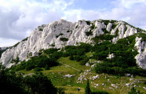 Природа в Северный Велебит Национальный, Хорватия. Фото 1 – фотографии Хорватии