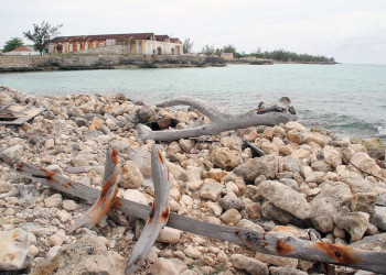 Берега на острове Инагуа, Багамские острова. Фото 3 – фотографии Багамских островов