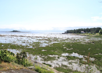 Остров Кий, Россия. Фото 11 – фотографии России