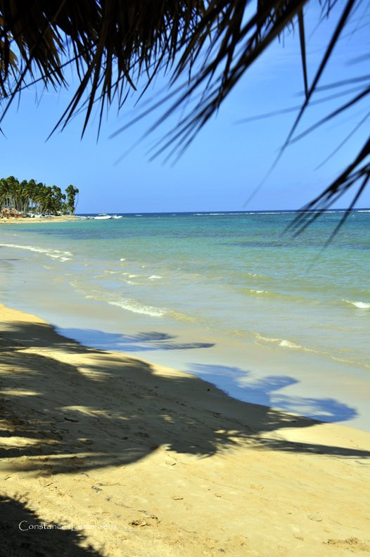 Самана, Доминикана, фото № 30609 – фотографии Доминиканы