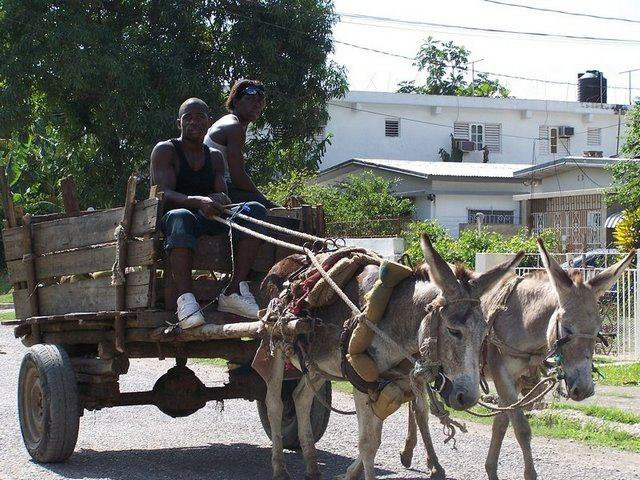 Ямайка. Фото 2 – фотографии Ямайки