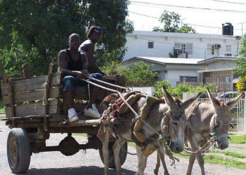 Ямайка. Фото 2 – фотографии Ямайки