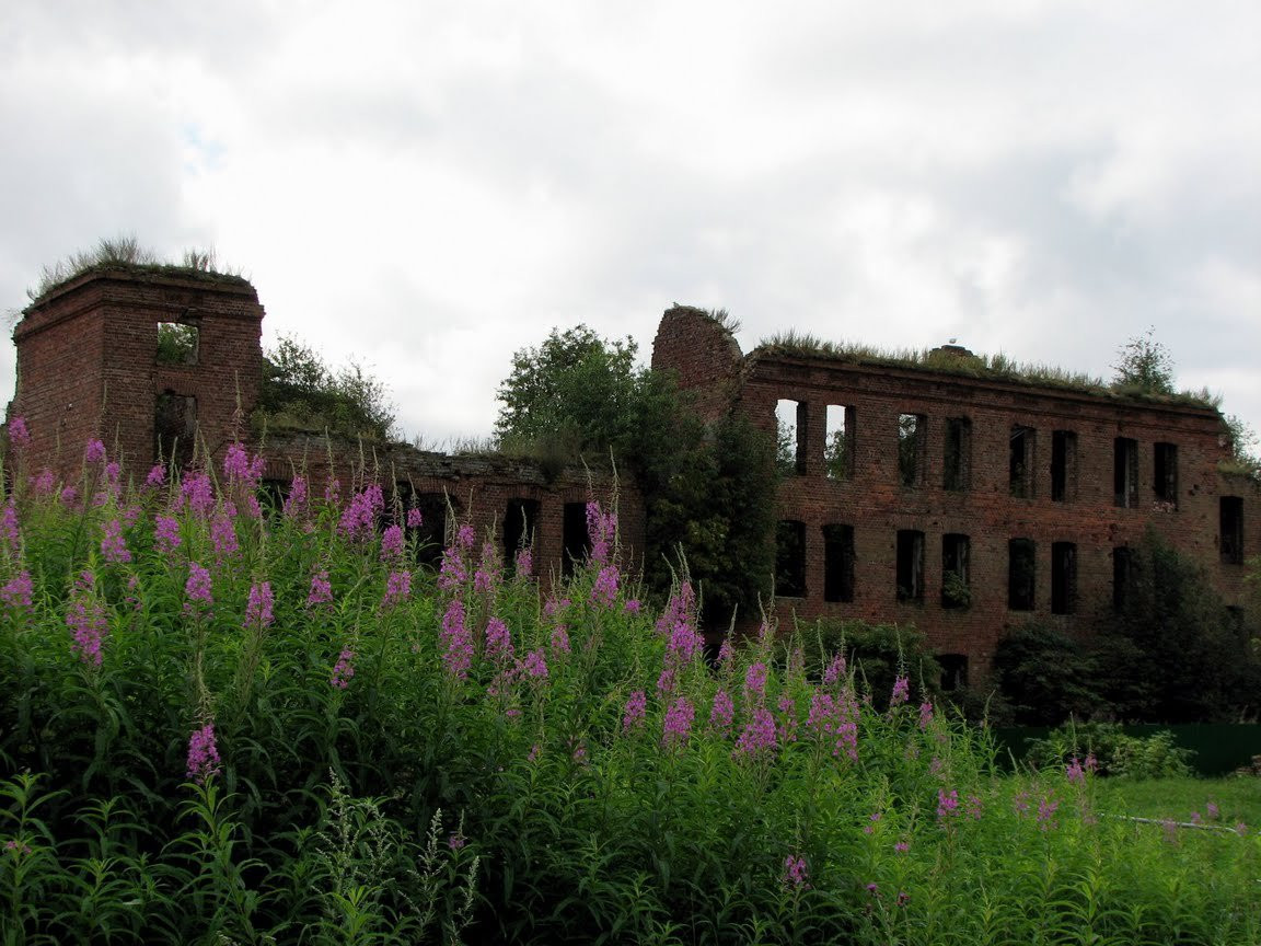 Развалины в Шлиссельбурге, Россия. Фото 9 – фотографии России