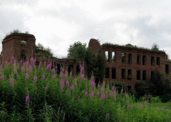 Развалины в Шлиссельбурге, Россия. Фото 9 – фотографии России