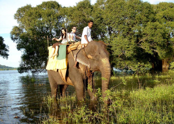 Кандалама, Шри-Ланка, фото № 51267 – фотографии Шри-Ланки