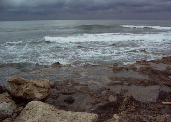 Пафос, Кипр, фото № 38478 – фотографии Кипра