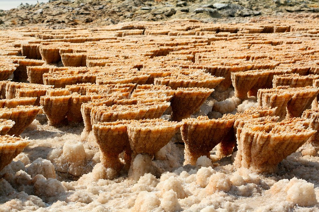 Эфиопия. Фото 8 – фотографии Эфиопии