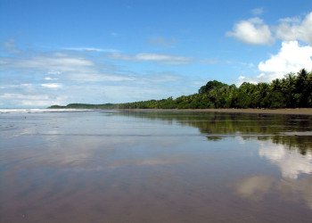 Плайя Увита, Пунтаренас провинция, Коста-Рика, фото № 40982 – фотографии Коста-Рики