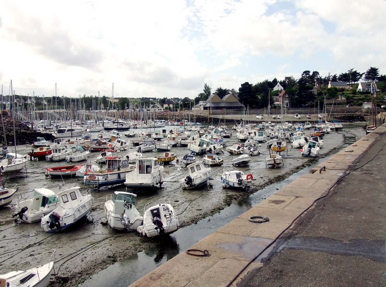 Яхты и катера в Пленеф-Валь-Андре, Франция. Фото 1 – фотографии Франции