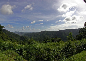 Национальный парк, Тайланд. Фото 12 – фотографии Таиланда
