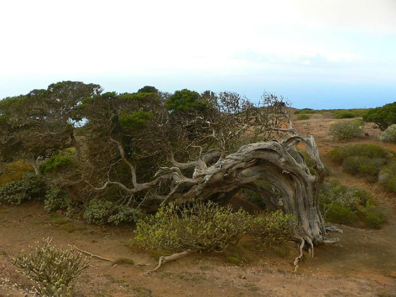 Эль-Йерро остров, Канарские острова, фото № 34666 – фотографии Канарских островов