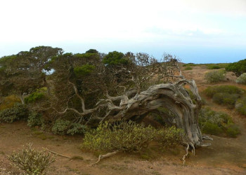 Эль-Йерро остров, Канарские острова, фото № 34666 – фотографии Канарских островов