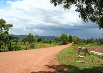 Камбоджа, фото № 5306 – фотографии Камбоджи