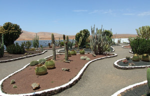 Антигуа, Фуэртевентура остров, Канарские острова, фото № 33994 – фотографии Канарских островов