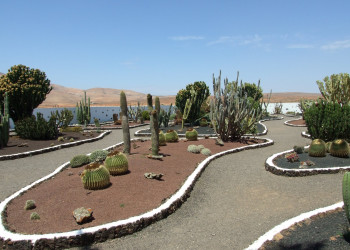 Антигуа, Фуэртевентура остров, Канарские острова, фото № 33994 – фотографии Канарских островов