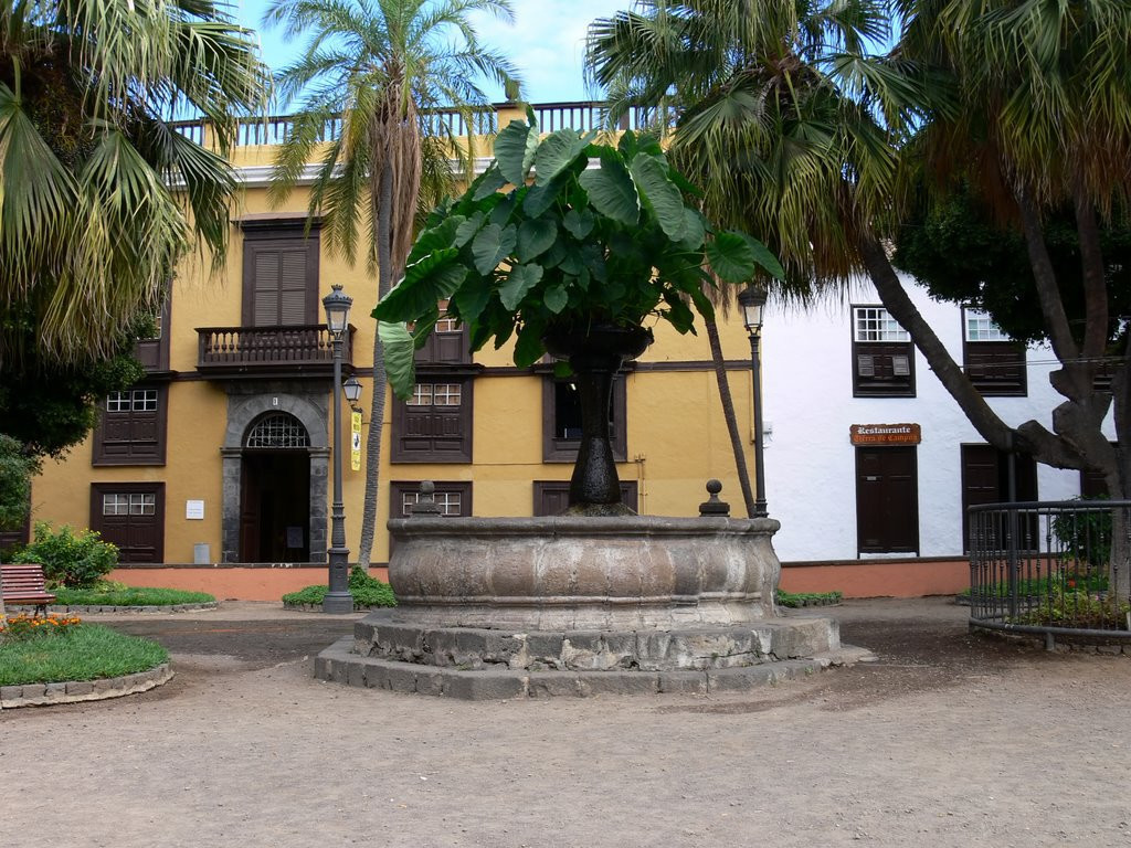 Икод-де-лос-Винос, Тенерифе остров, Канарские острова, фото № 33057 – фотографии Канарских островов