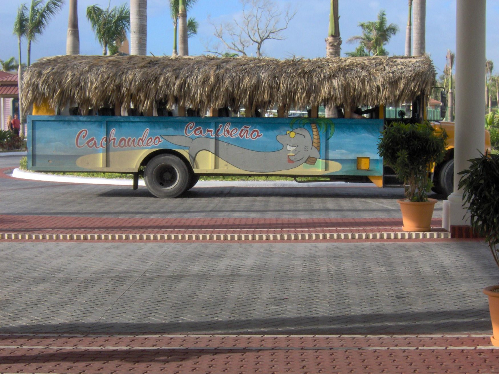 Пунта-Кана, Доминикана, фото № 30519 – фотографии Доминиканы