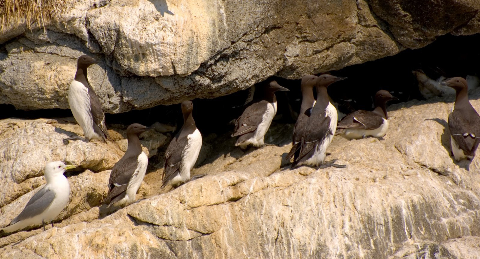 Аляска штат, США, фото № 67669 – фотографии США