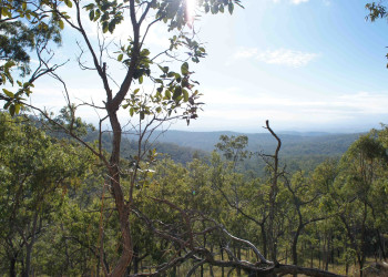 В окрестностях Атертона. Фото 1 – фотографии Австралии