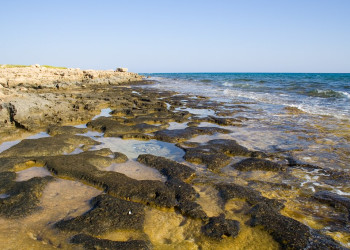 Айя-Напа, Кипр, фото № 37488 – фотографии Кипра