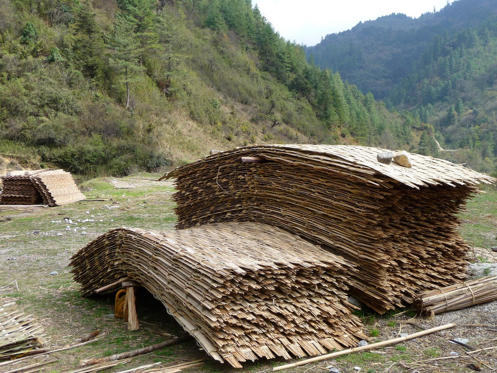 Бутан, фото № 4711 – фотографии Бутана
