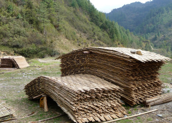 Бутан, фото № 4711 – фотографии Бутана