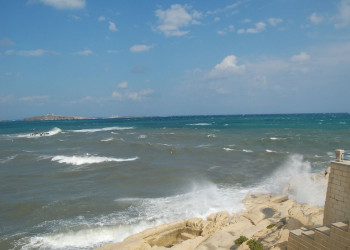 Сент-Полс-Бэй, Мальта остров, Мальта, фото № 42984 – фотографии Мальты