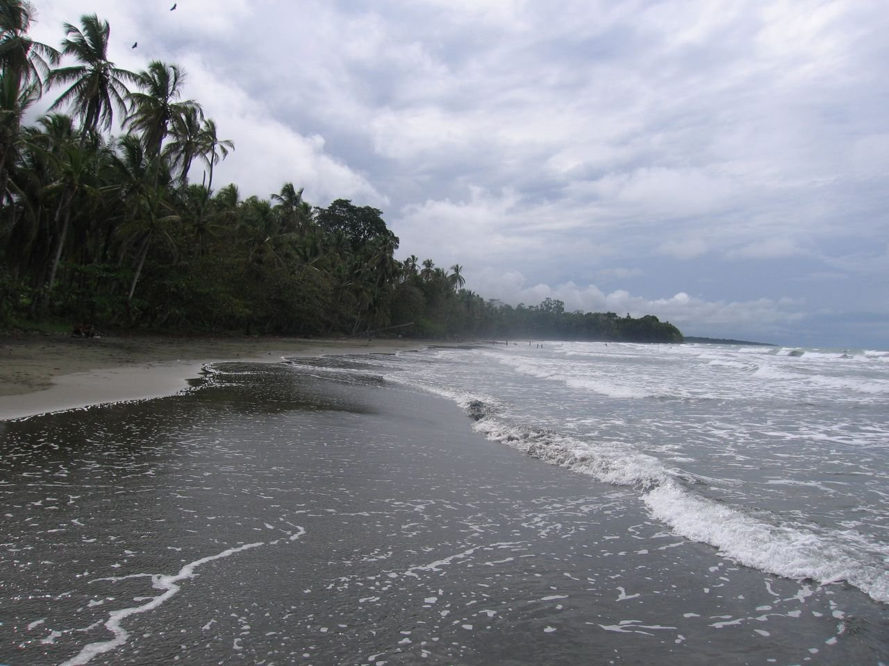 Кауита, Лимон провинция, Коста-Рика, фото № 40040 – фотографии Коста-Рики