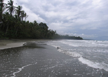 Кауита, Лимон провинция, Коста-Рика, фото № 40040 – фотографии Коста-Рики