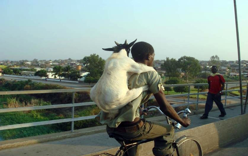 Прикол – фотографии Кении