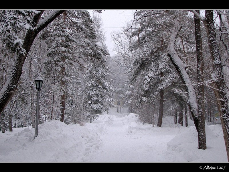 Природа в Шмаковке, Россия. Фото 2 – фотографии России